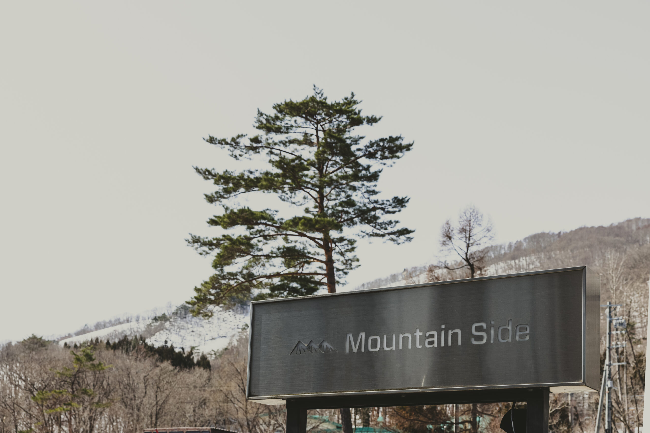 Mountain Side